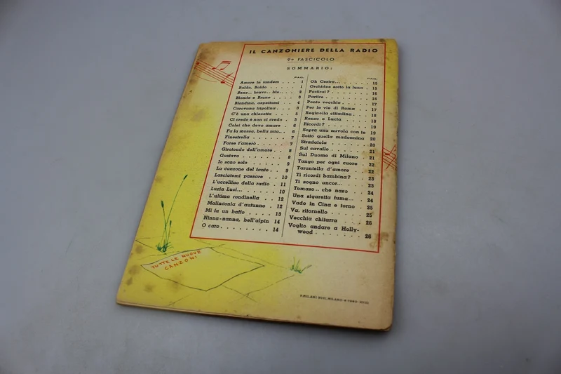 "Das Radio Songbook" Taschenbuch