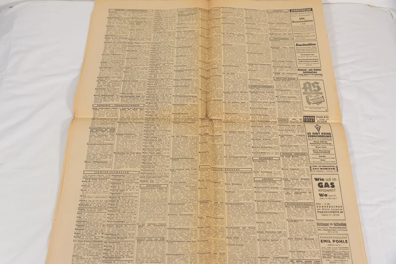 „Volkischer Beobachter“ – 20