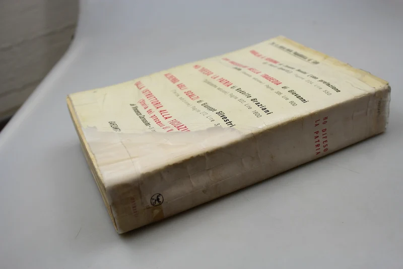 „Ich verteidigte mein Vaterland“ R. Graziani – 1947 – Garzanti