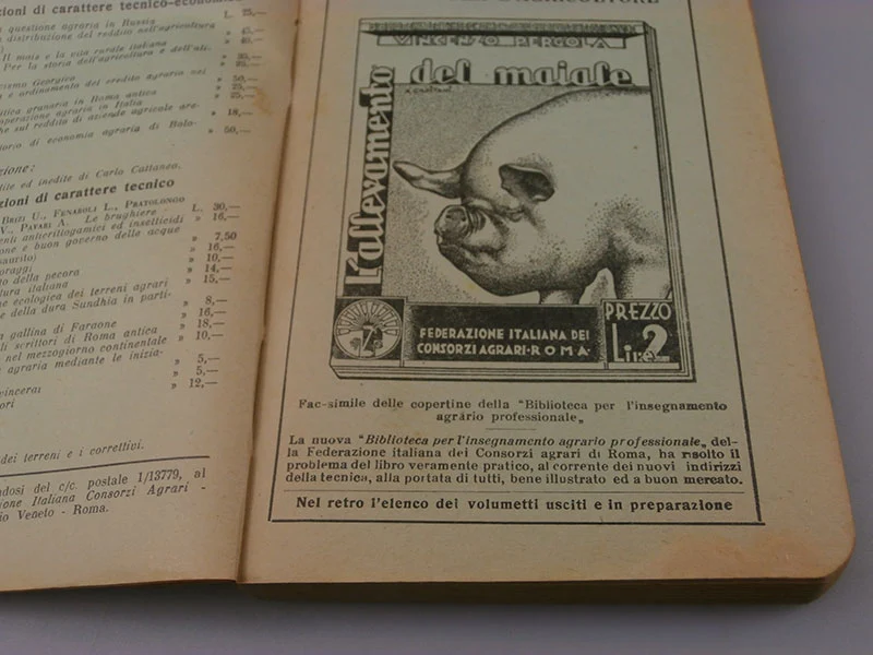 "Landwirtschaftliches Tagebuch" Jahr 1933 XI° vz