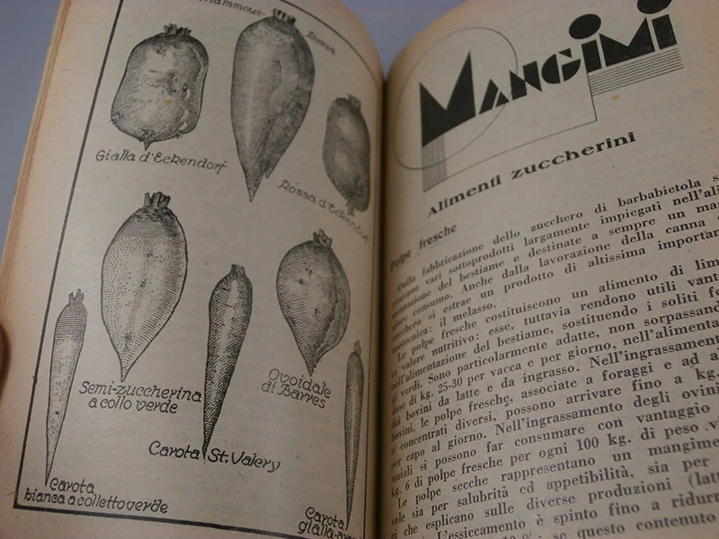 "Landwirtschaftliches Tagebuch" Jahr 1933 XI° vz
