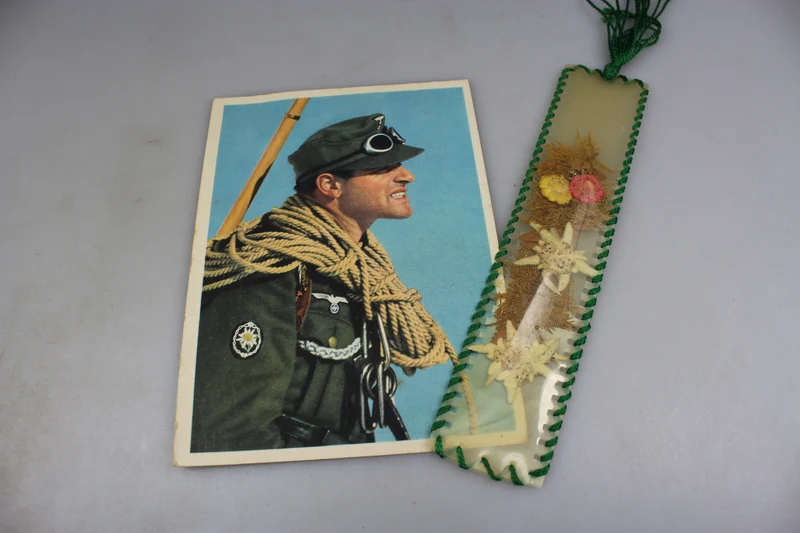 Gebirgsjäger Farbpostkarte