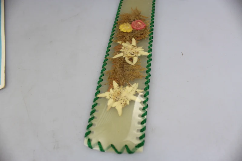 Gebirgsjäger Farbpostkarte