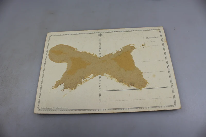 Gebirgsjäger Farbpostkarte