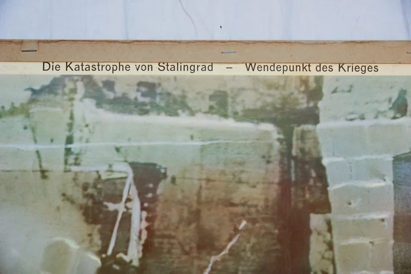 Bildungsposter aus den 50er Jahren