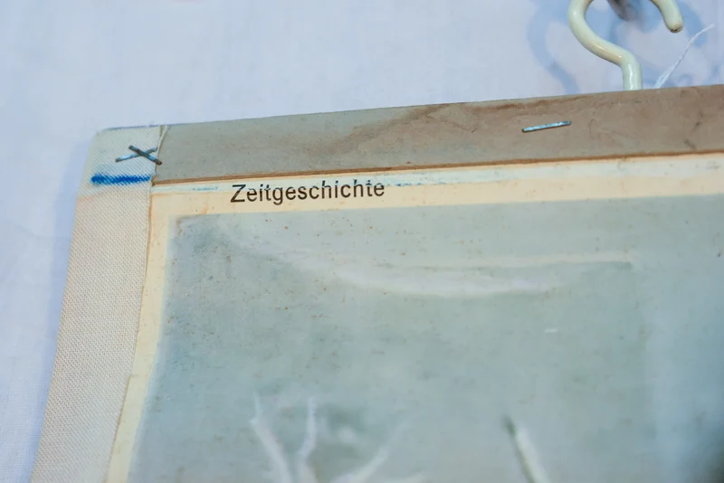 Bildungsposter aus den 50er Jahren