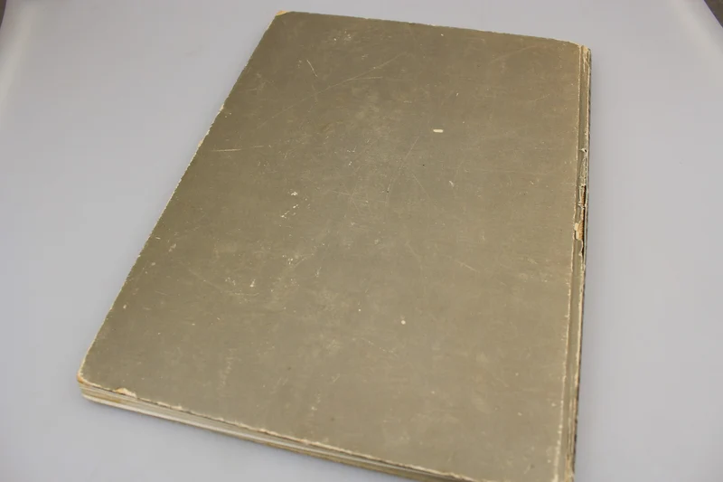 "Ein Fliegerkorps im Einstz Ost" - Verlag F. Bruckmann - München
