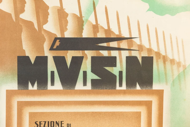 MVSN-Zertifikat