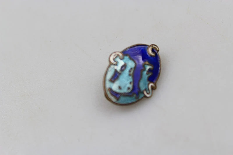 Emaille Pin Gewerkschaften PNF