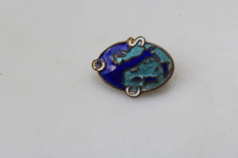 Emaille Pin Gewerkschaften PNF