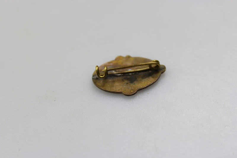 Emaille Pin Gewerkschaften PNF