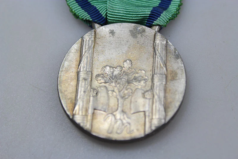 Medaille für Mütter kinderreicher Familien (9 Kinder)