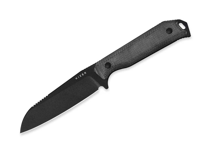 KIZER - Phasmids AEB-L