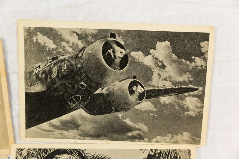 Nr. 15 Postkarten der Regia Aeronautica