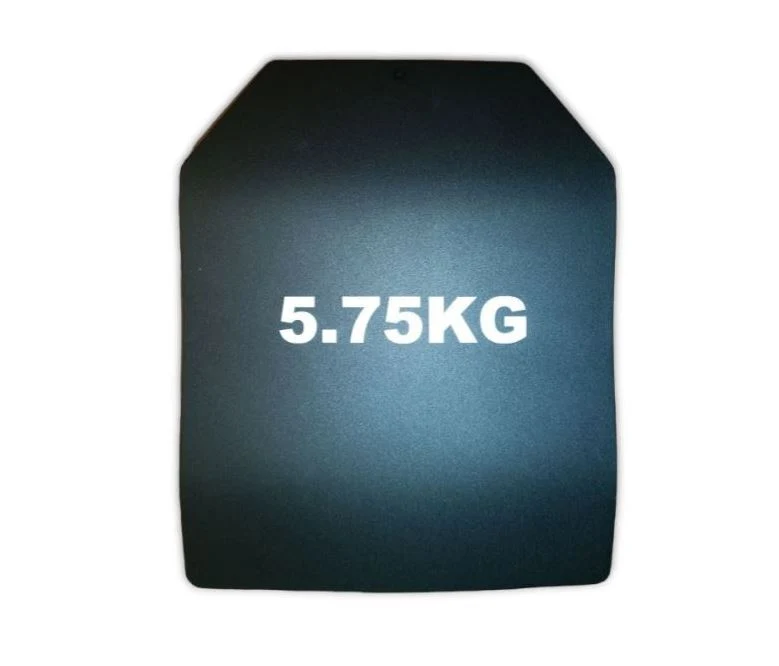 SAPI Crossfit Trainingsplatte Dummy Gewichtplatte aus Stahl (5,75kg)