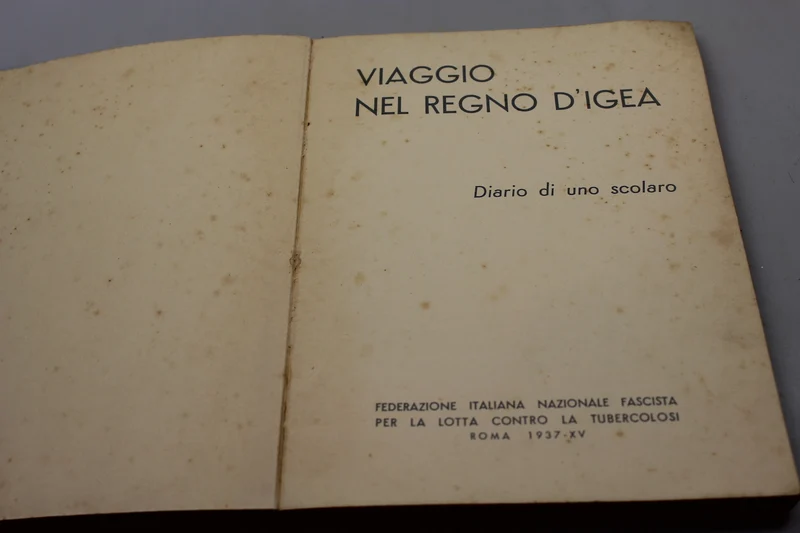 "Reise in das Königreich Igea" Tagebuch eines Schülers -1937