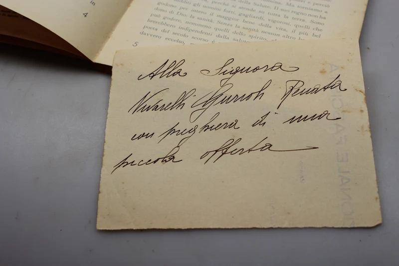 "Reise in das Königreich Igea" Tagebuch eines Schülers -1937