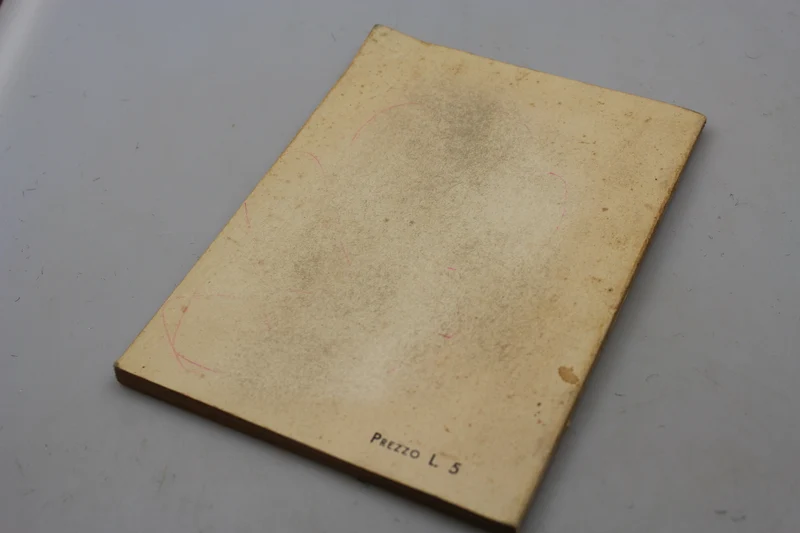 "Reise in das Königreich Igea" Tagebuch eines Schülers -1937