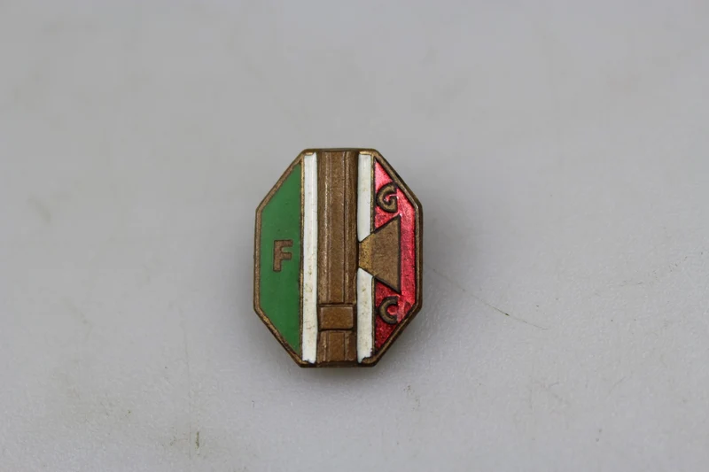 FGC Anstecknadel aus Emaille