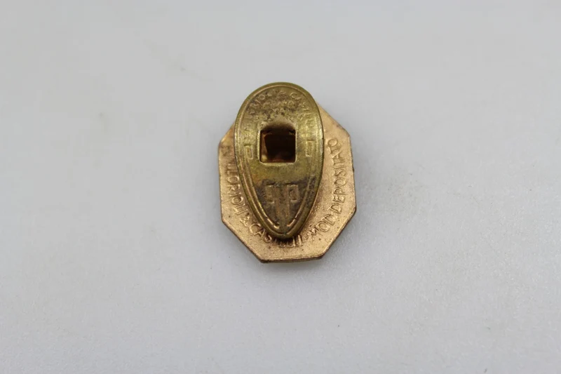 FGC Anstecknadel aus Emaille