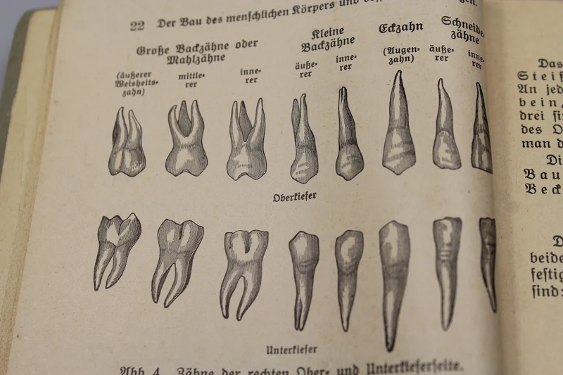 DRK-Farbillustriertes Handbuch – 1937