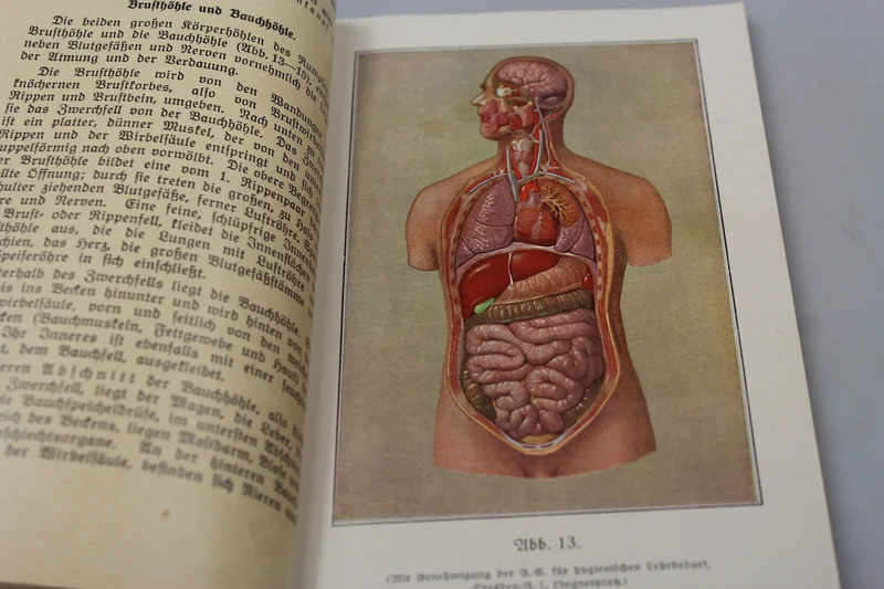 DRK-Farbillustriertes Handbuch – 1937