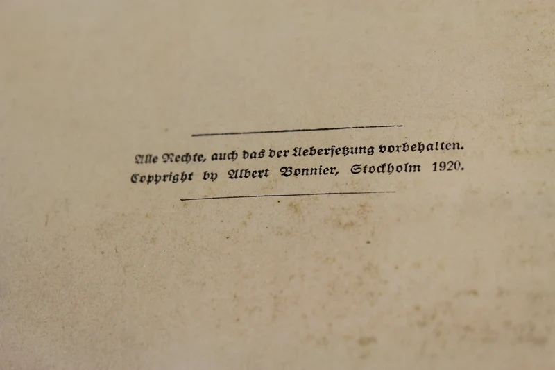 Admiral Scheer „Deutsche Hochseeflotte im Weltkrieg“ – 1920
