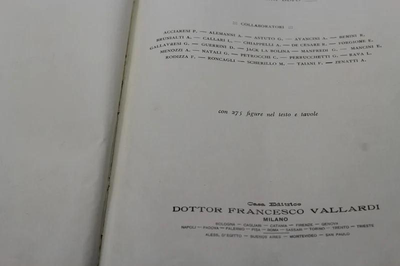 "Das wiederauferstandene Vaterland" - Vallacchi - 1911