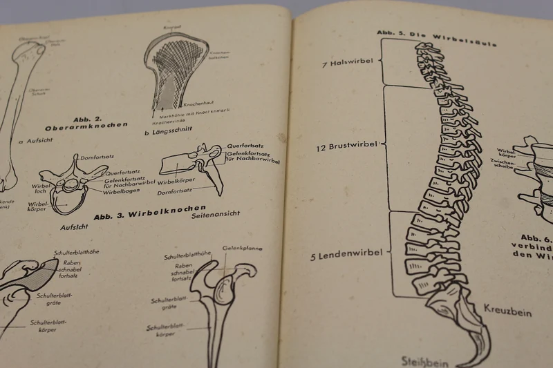 „Amtliches Unterrichtsbuch der Ersten Hilfe“ 1941