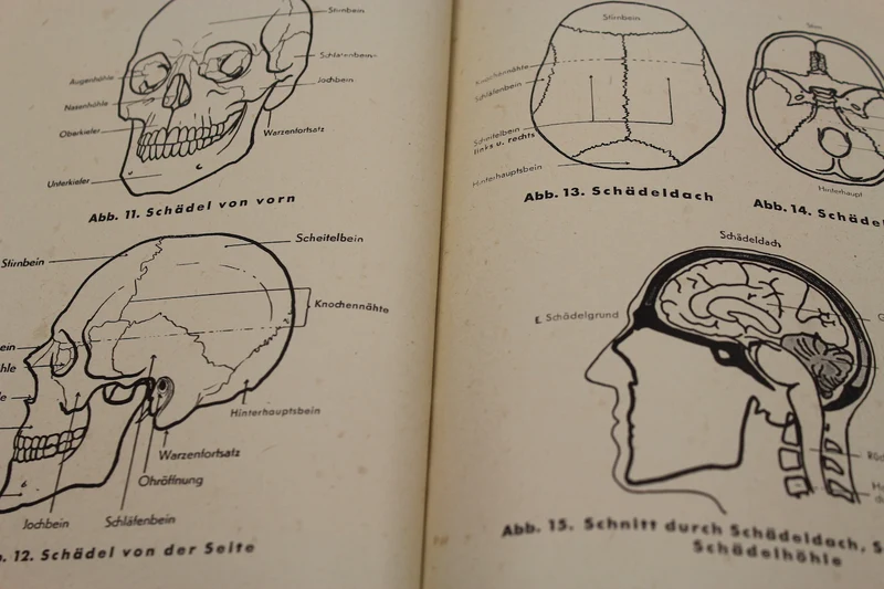 „Amtliches Unterrichtsbuch der Ersten Hilfe“ 1941