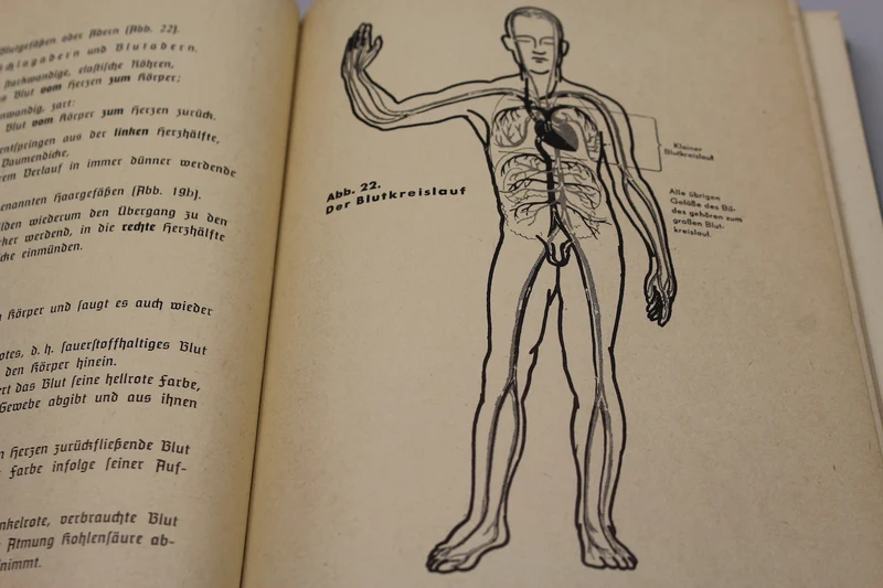 „Amtliches Unterrichtsbuch der Ersten Hilfe“ 1941