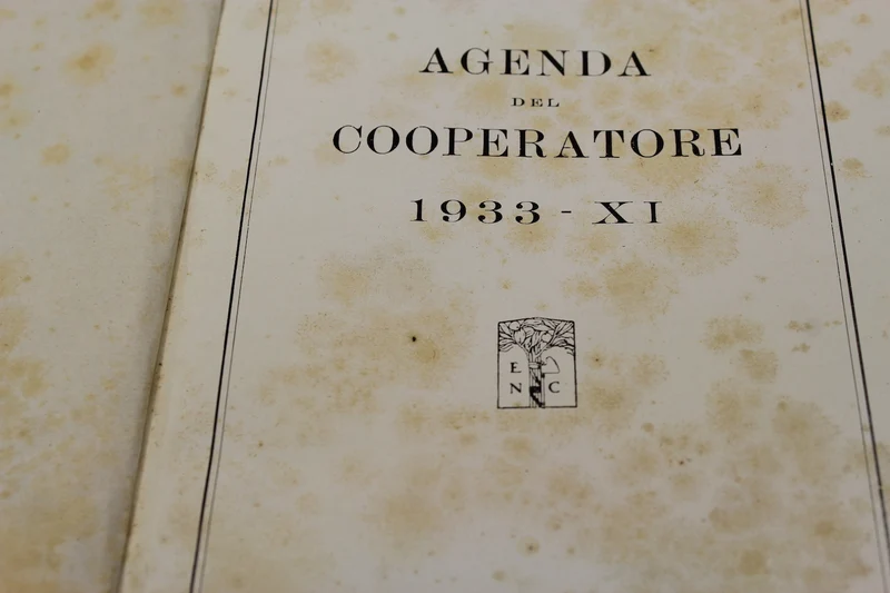 Agenda des PNF-Kooperationspartners – 1933