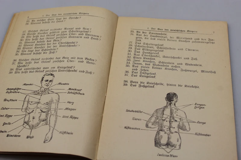 DRK-Taschenhandbuch - 1941