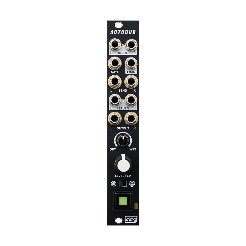 Steady State Fate Autodub (Schwarz und Gold)
