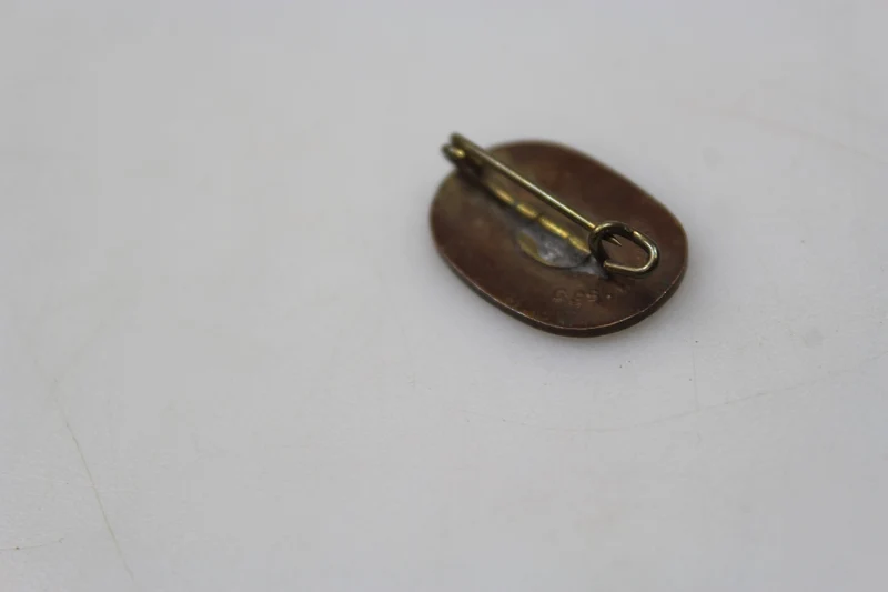 WW2 RAD Emaille-Anstecknadel