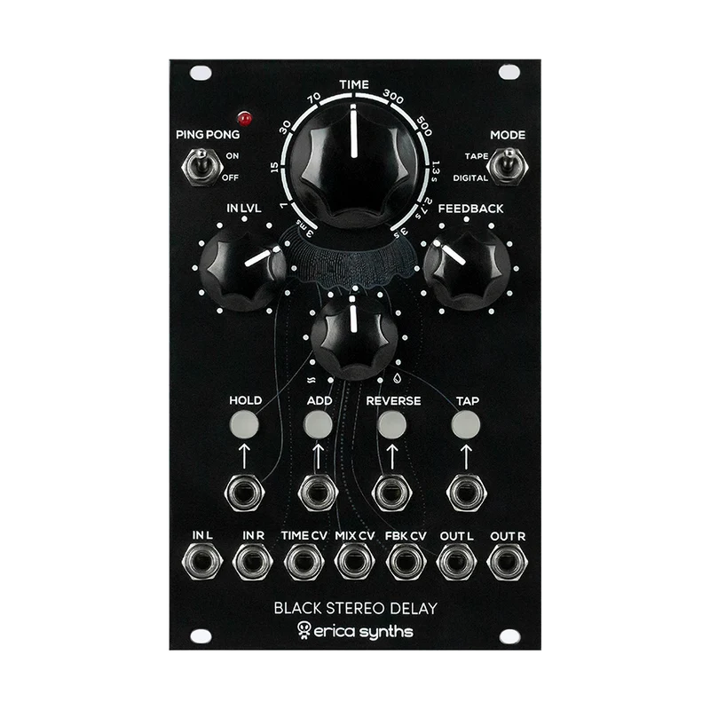 Erica Synths Schwarzes Stereo-Delay