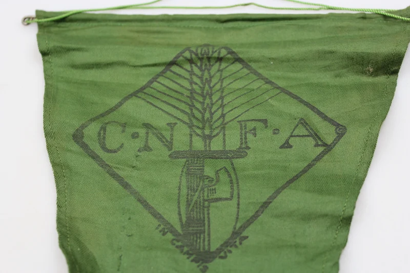 CNFA-Wimpel