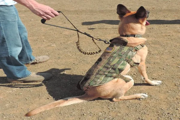 Cetacea Tactical Basic Dog Handlers' Leash K9 Leine