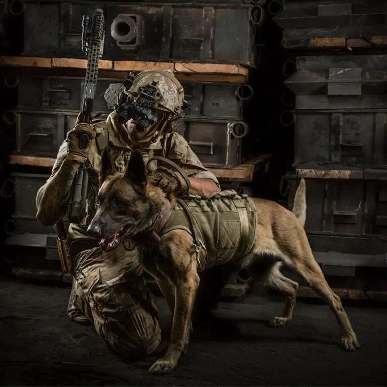 London Bridge Trading LBT Tactical K9 Harness