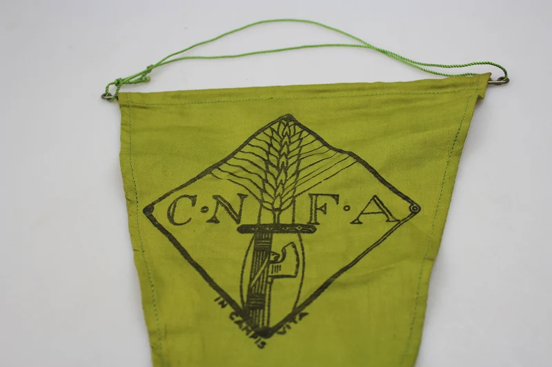 CNFA-Wimpel