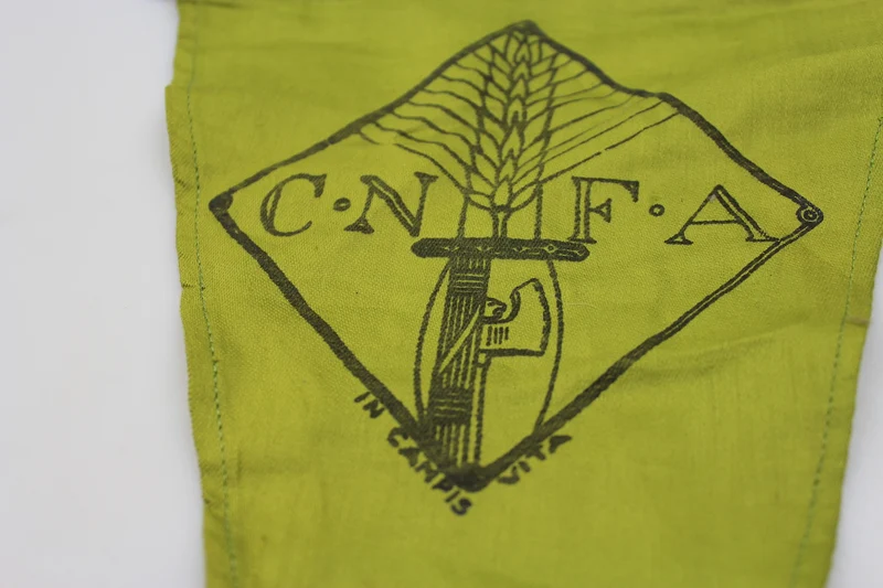 CNFA-Wimpel