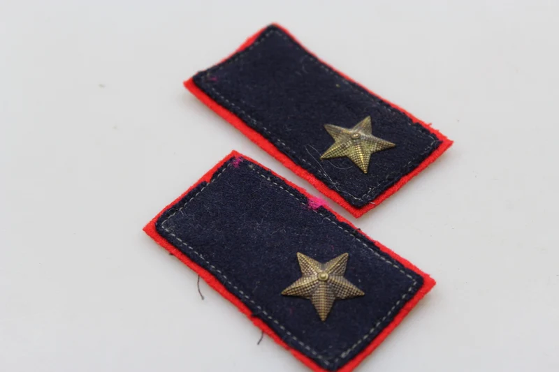 Paar offizielle REI-Insignien aus dem 2. Weltkrieg
