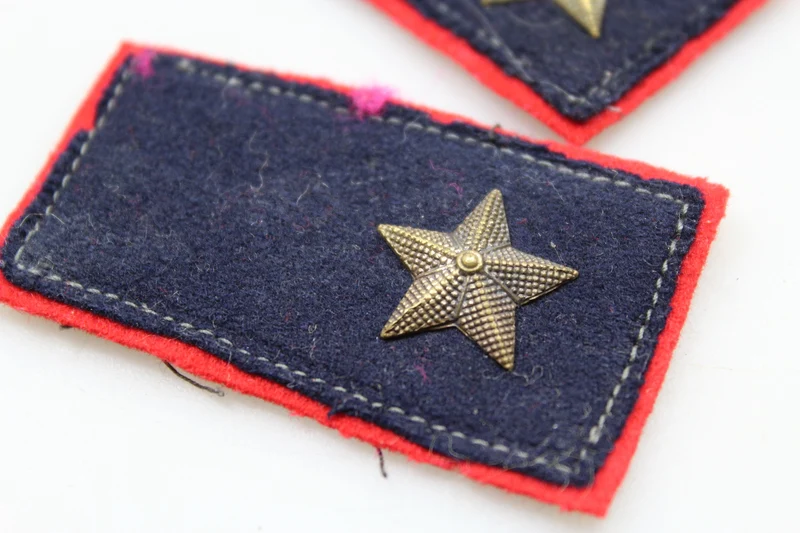 Paar offizielle REI-Insignien aus dem 2. Weltkrieg