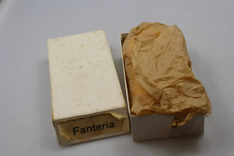 Schulterpolster mit goldener Platte. Offizier REI WW2