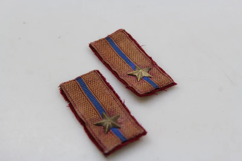 Paar REI-Insignien aus dem 2. Weltkrieg
