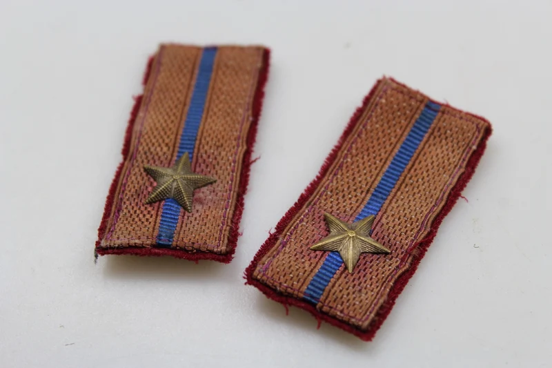 Paar REI-Insignien aus dem 2. Weltkrieg