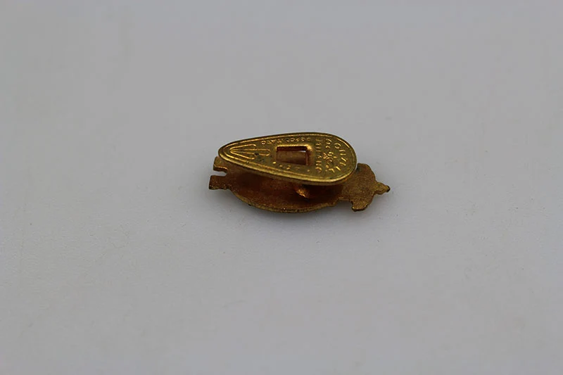 UNUCI emaillierte Anstecknadel