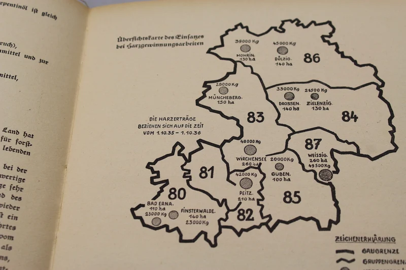 „Jahrbuch des Reichsarbeitsdienstes 1937/38“