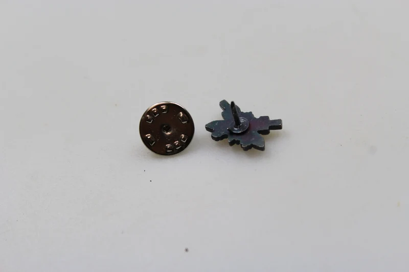 Repro-Pin-Schulung in Deutschland
