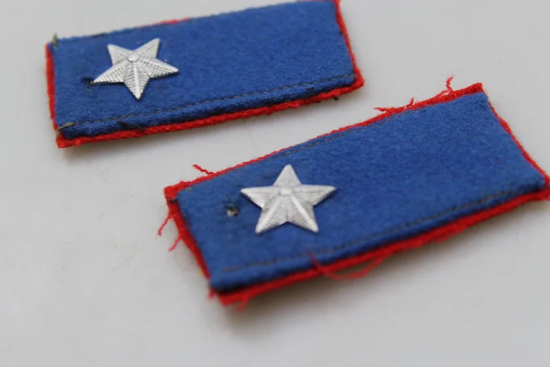 Paar offizielle REI-Insignien aus dem 2. Weltkrieg